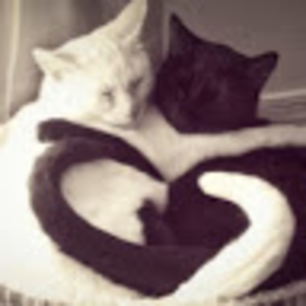 Meet your Posher, Gigi